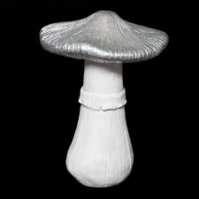 1723470champignon