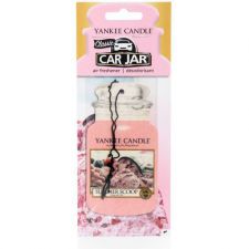 summer scoop car jar 