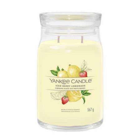 limonade aux baies glacees large jar 