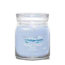 air de locean moyenne jarre ocean air yankee candle 