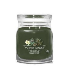 yankee candle sauge argentee et pin moyenne jarre silver sage pine 