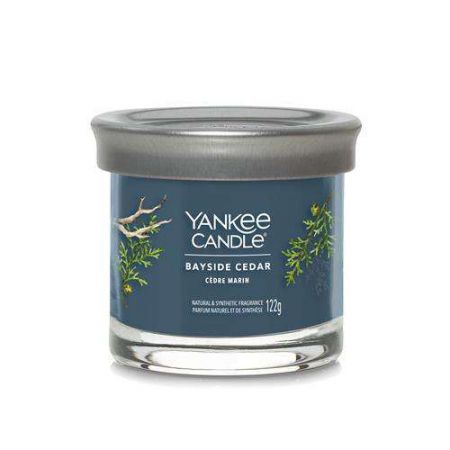 yankee candle cedre marin mini tumbler bayside cedar 