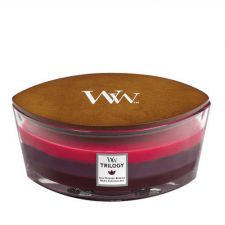 trilogy sun ripened berries ellipse candle woodwick 