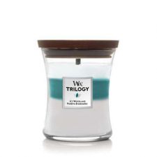 trilogy icy woodland medium candle woodwick 