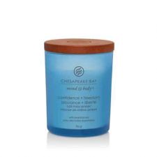 chesapeake mousse de chene ambre mini candle assurance et liberte 